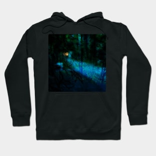 Walk through the forest at night Hoodie